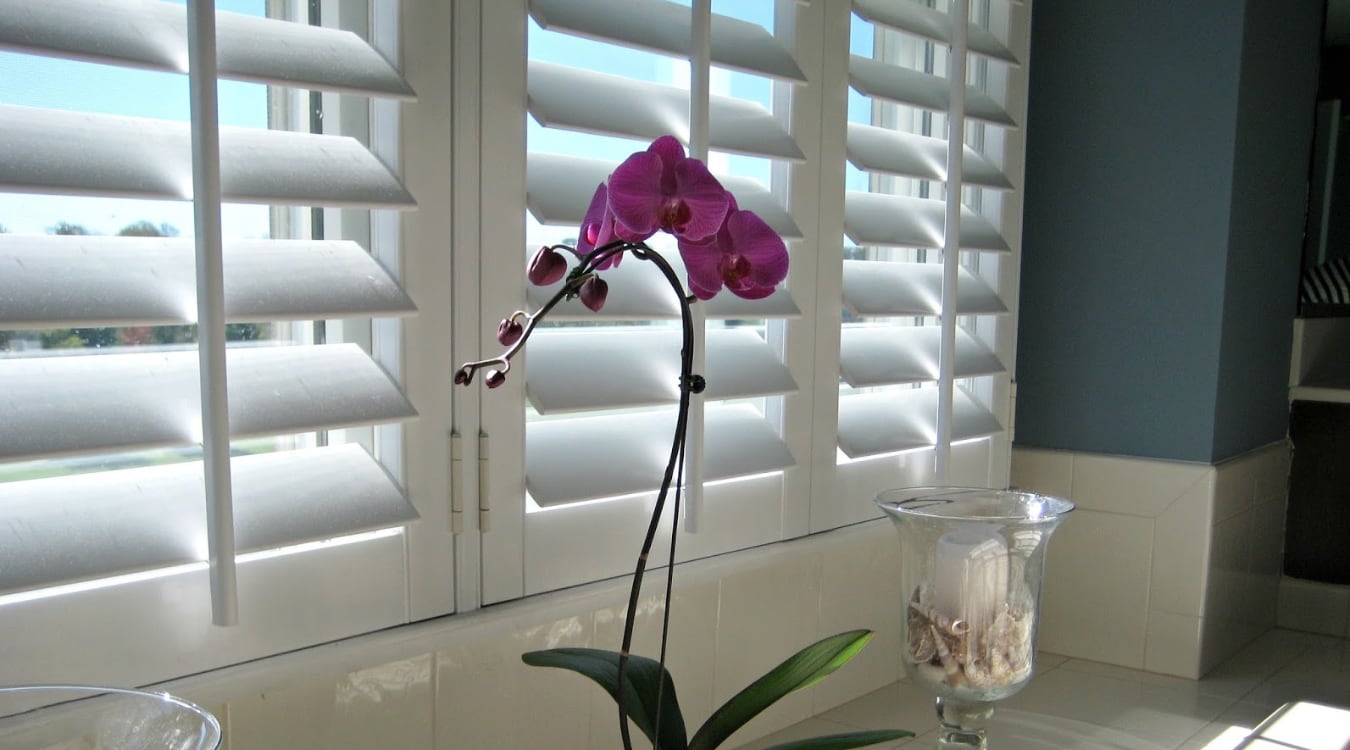 Plantation shutters in a bathroom